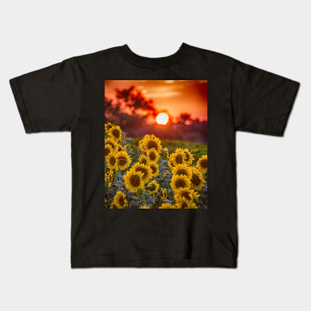 Colby Farms Sunflower Field Sunset Kids T-Shirt by WayneOxfordPh